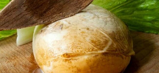 La provola una specialità campana, ma lo sapevi che risale al 600