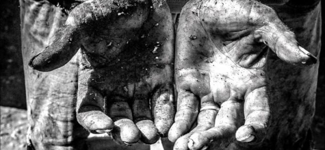 Terra mia non ci ha insegnato nulla. Disumane le armi Chimiche in Siria.