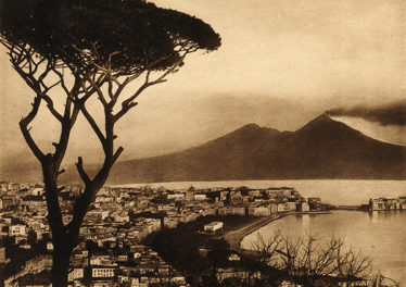 Napoli il pino di Posillipo è stato l'albero più famoso d'Italia