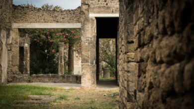 Turista spagnolo fa la cacca negli scavi di Pompei