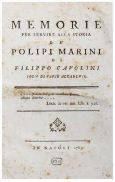 Napoli via Filippo Cavolini. La strada adiacente via Foria è dedicata ad uno scienziato napoletano. il suo nome legato al processo di caprificazione.