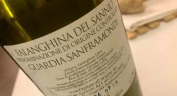 Vini Doc del Sud senza tutele. L’accordo con il trucco: protetti tredici marchi, tutti del Centro-nord