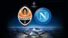 In barba a Mediaset Premium Shakhtar-Napoli in chiaro al Nord
