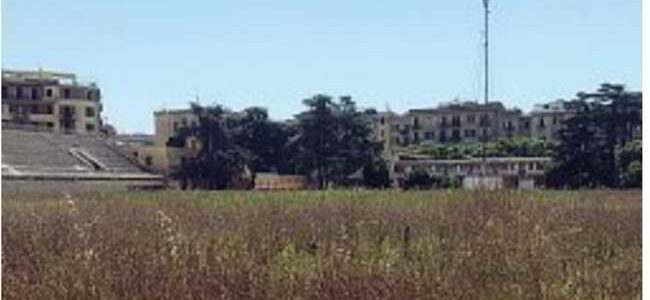 Erbacce e macerie, il Collana cade a pezzi