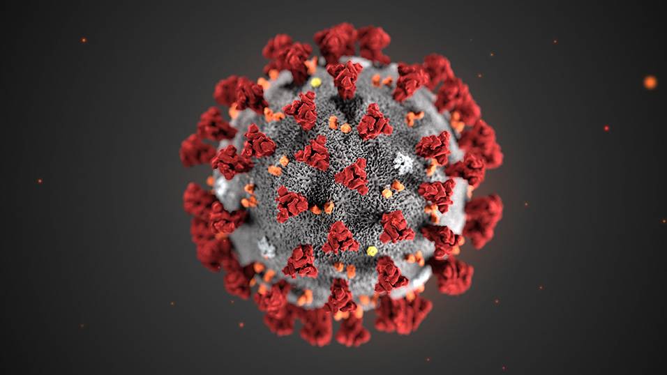 Coronavirus, le utlimissime notizie sull'emergenza covid-19