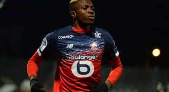 Mediaset – Napoli-Osimhen l’attesa è finita, annuncio in 48 ore. colpo di De Laurentiis. Ecco le cifre