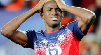 Pedullà: “Colloquio Napoli-agente Osimhen senza intoppi. In arrivo fuochi d’artificio”