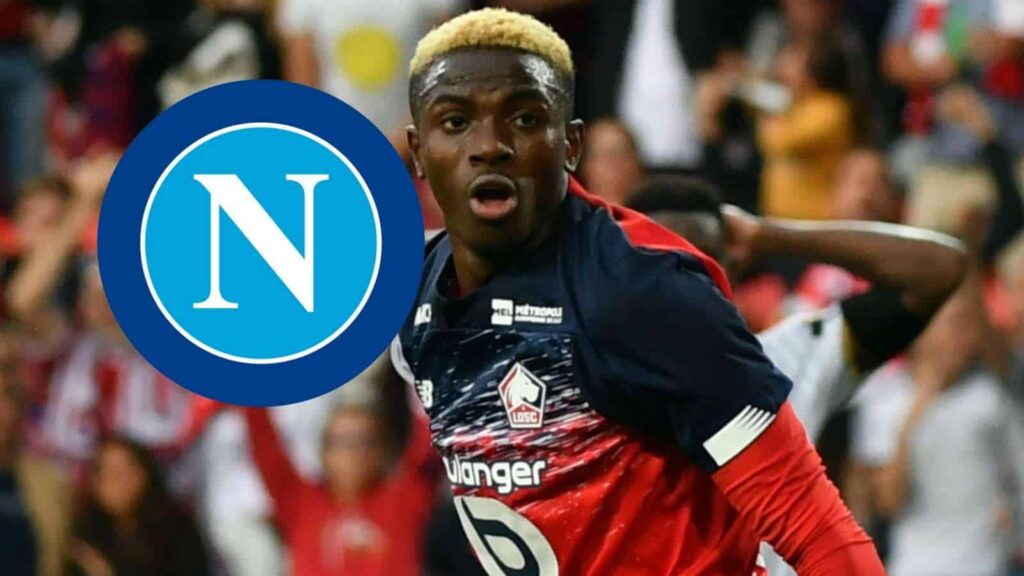osimhen napoli accordo lille