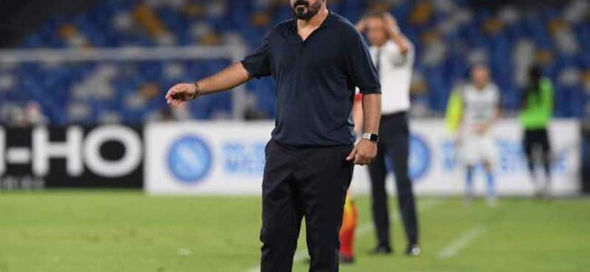 gattuso futuro napoli