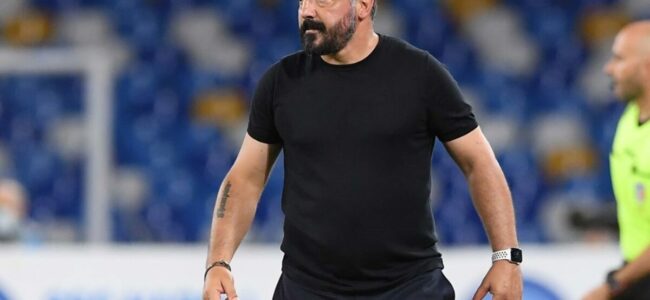 rinnovo gattuso napoli