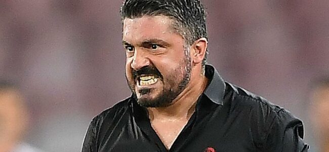 GATTUSO(1)