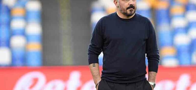 fedele gattuso napoli