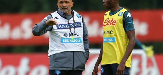 osimhen spalletti