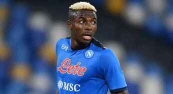 Napoli-Bologna probabili formazioni. Spalletti ha due dubbi. Emergenza per Mihajlovic