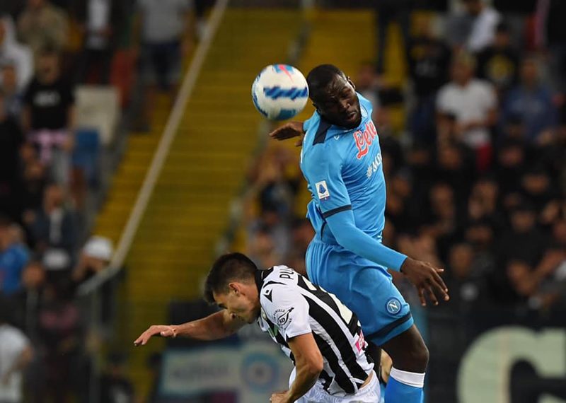 newcastle koulibaly