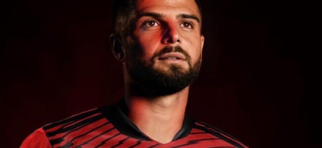 insigne firma toronto