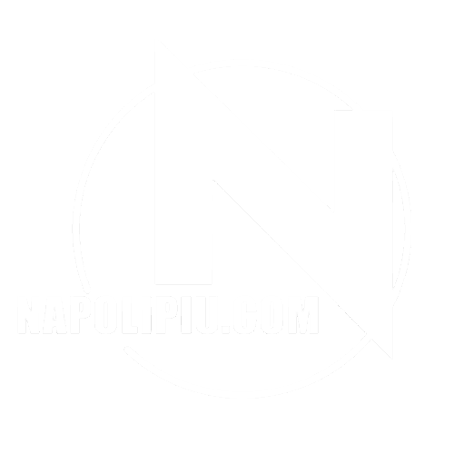 Calcio Napoli, notizie su Napolipiu.com