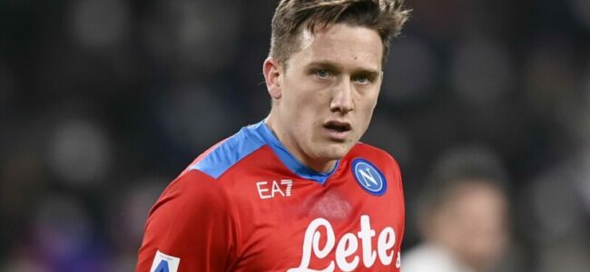 Zielinski Koulibaly Napoli Fiorentina