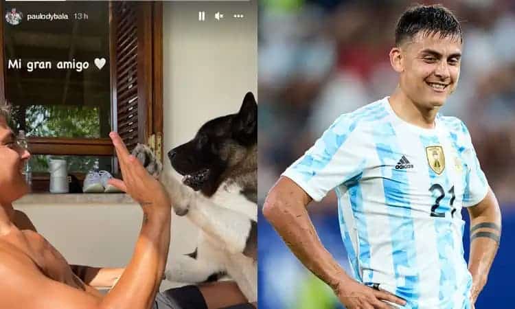 Dybala-Napoli, spunta l'indizio social! La Joia segue due giocatori azzurri su Instagram