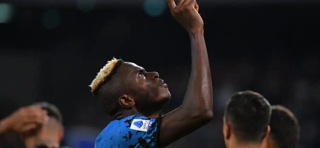 napoli bologna Highlights gol