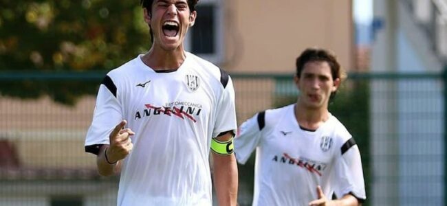 napoli gemelli shpendi