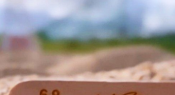 Il Napoli conquista il palato dei tifosi: il gelato Steccolecco dedicato ai calciatori è la novità dell’estate