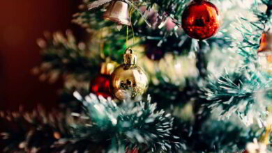 Quando togliere l'albero di Natale senza attirare la sfortuna: la data giusta secondo tradizione