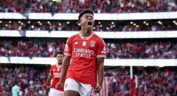Neres dice sì al Napoli: Il Benfica fissa il prezzo, spunta il PSV