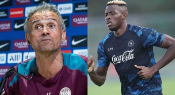 Napoli, Luis Enrique frena su Osimhen: “Niente spese folli per il PSG”
