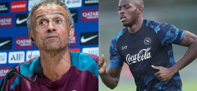 Luis Enrique frena l'arrivo di Osimhen