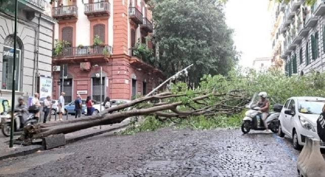 Maltempo Napoli, albero crolla al Vomero: paura in via Bernini