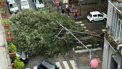 Maltempo Napoli, albero crolla al Vomero: paura in via Bernini