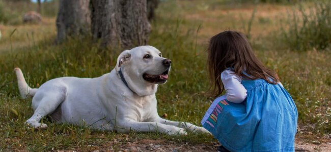 Bambina-con-il-suo-cane.jpg