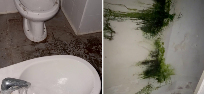 bagni-parco-dacquisto.png