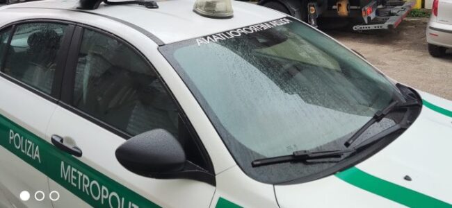news418488.jpg
