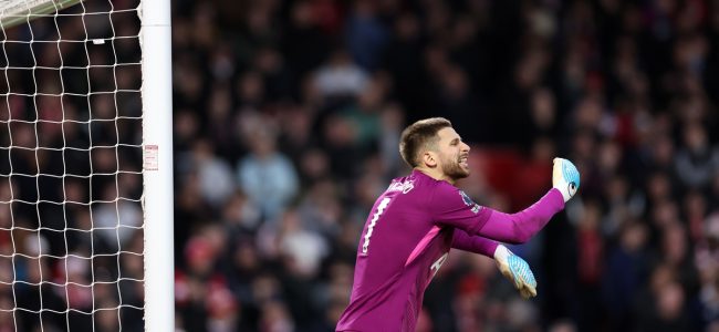 nottingham-forest-v-tottenham-ho.jpg