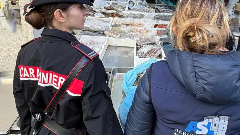 pescherie di napoli sequestrati oltre 50 kg di vongole lupini e molluschi da Napolipiu.com pescherie di napoli sequestrati oltre 50 kg di vongole lupini e molluschi