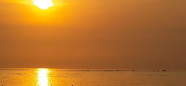 sole.jpg