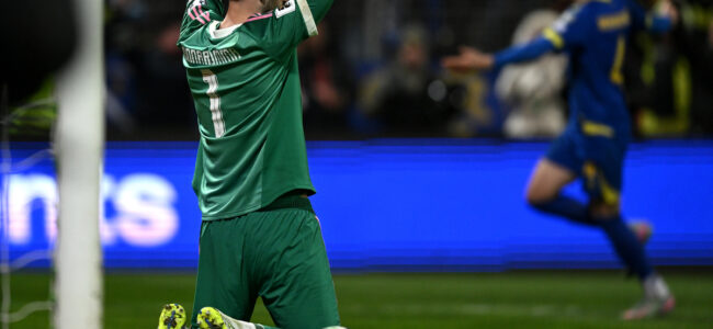 bosnia-and-herzegovina-v-italy-f.jpg