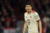 fc-bayern-munchen-v-fc-internazi-3.jpg