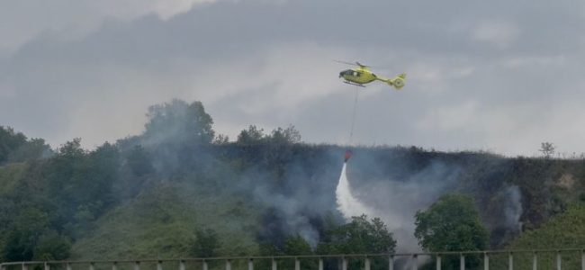 news425403.jpg