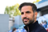 Cesc-Fabregas-hmm-1.jpg