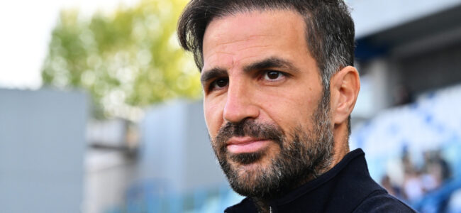 Cesc-Fabregas-hmm-1.jpg