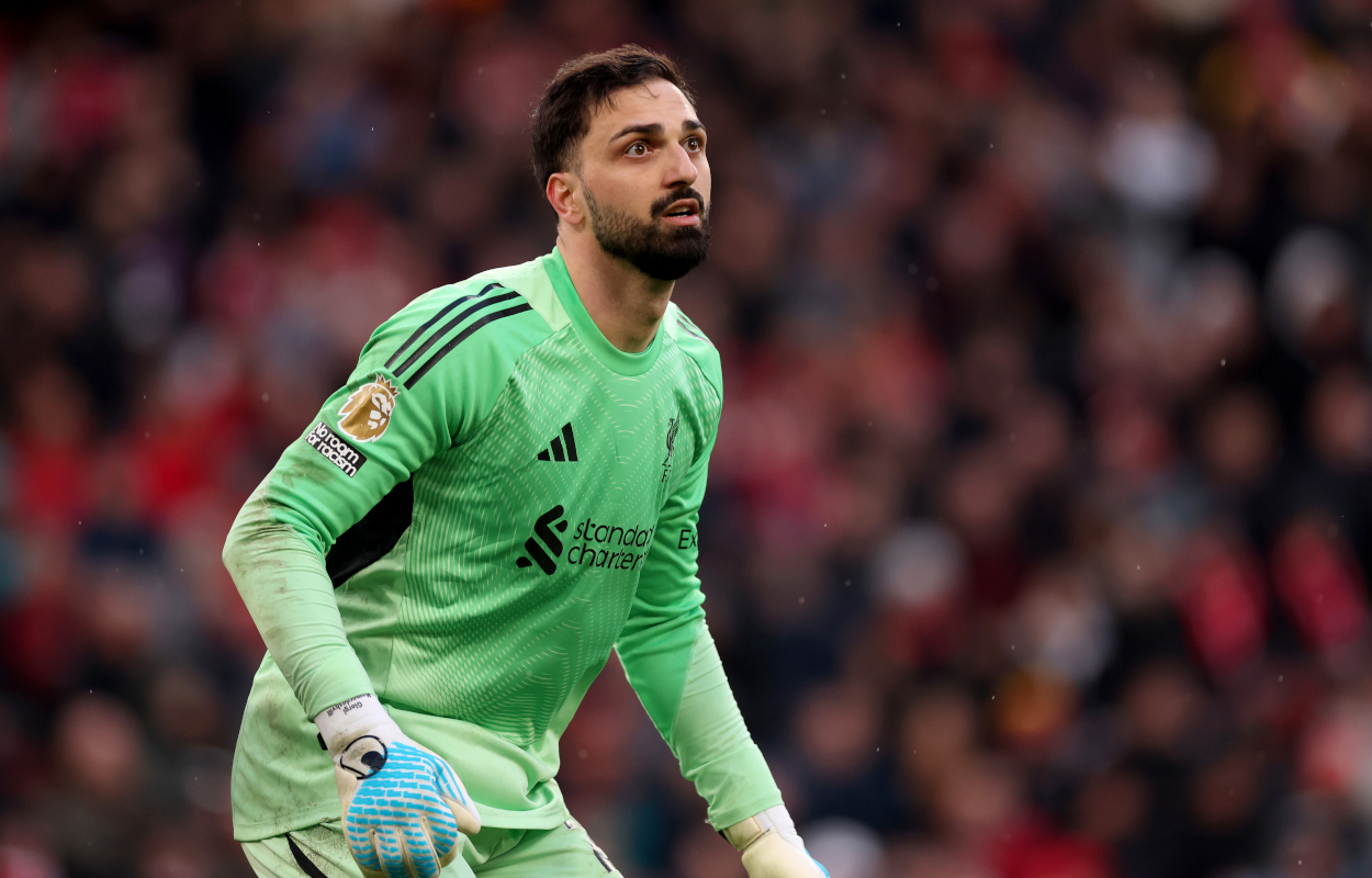 juventus e inter su mamardashvili prestito dal liverpool per la stagione 2026 27 da Napolipiu.com juventus e inter su mamardashvili prestito dal liverpool per la stagione 2026 27