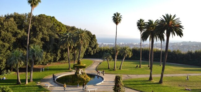 capodimonte.jpg