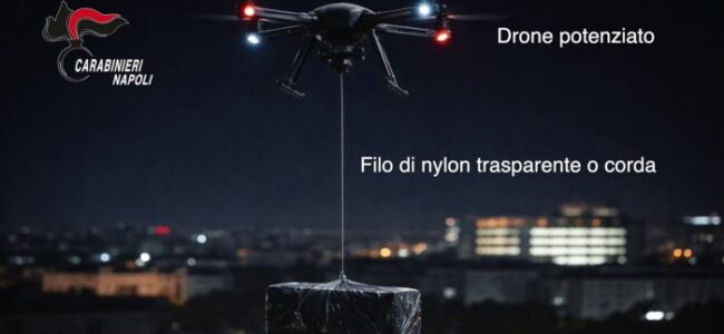 news427010.jpg