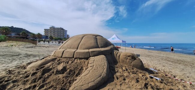 scultura-tartaruga-pollica.jpeg
