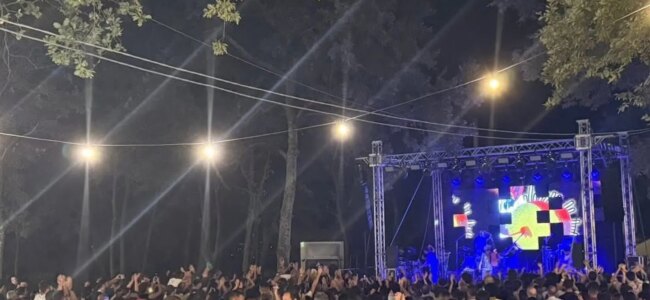 woodfest.jpg
