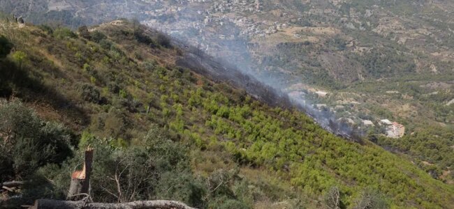 1785207796_Algeria-incendio-IPA-1.jpg