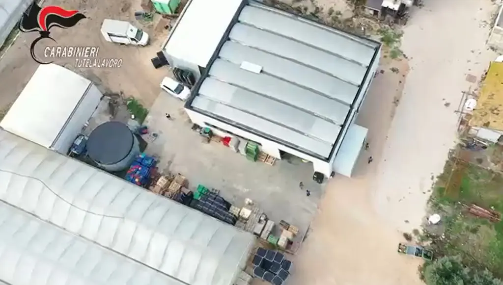 maxi operazione 22 misure cautelari contro l8217immigrazione clandestina in corso da Napolipiu.com maxi operazione 22 misure cautelari contro l8217immigrazione clandestina in corso